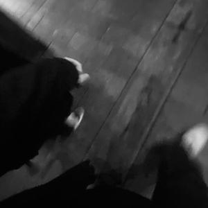 国产一区二区精品
