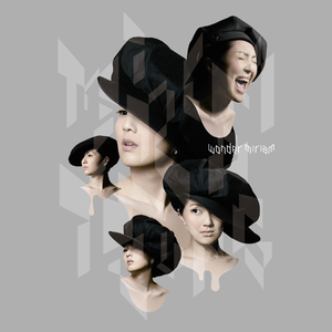 国产一区二区精品
