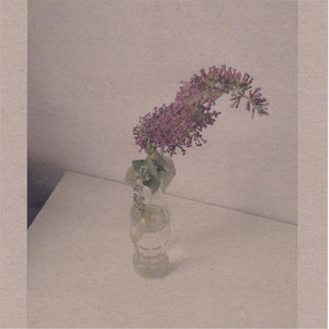 国产一区二区精品
